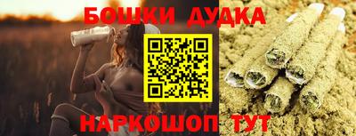 индика Беслан