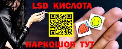 шишки Бийск