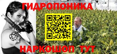 шишки Бийск
