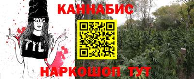индика Беслан