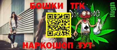 индика Беслан