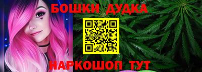 индика Беслан