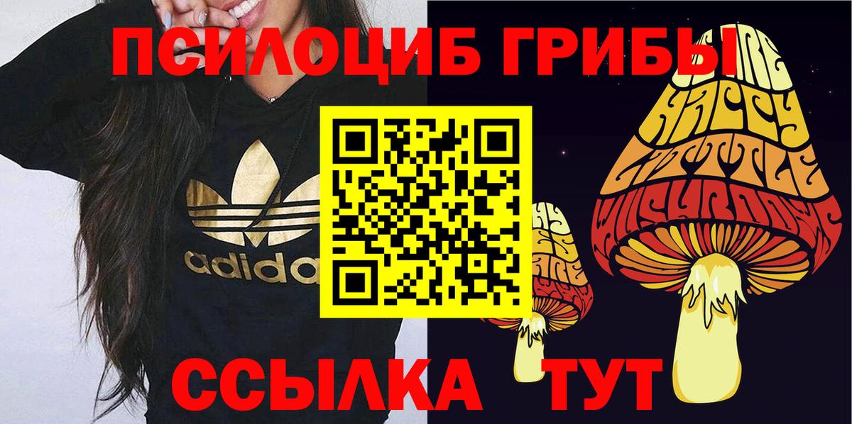 Псилоцибиновые грибы Psilocybe Городец