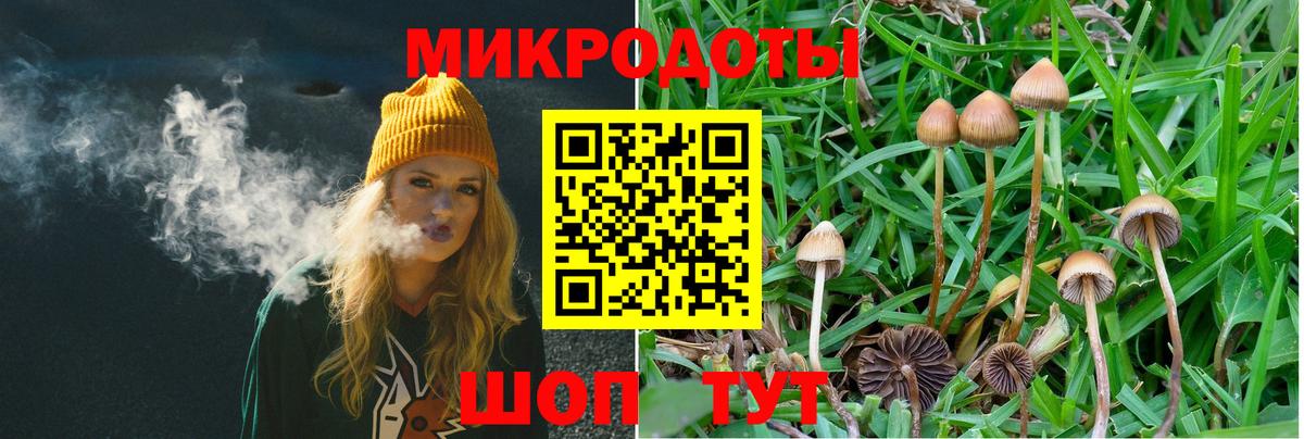 Городец  Галлюциногенные грибы мицелий  Вход с VPN 